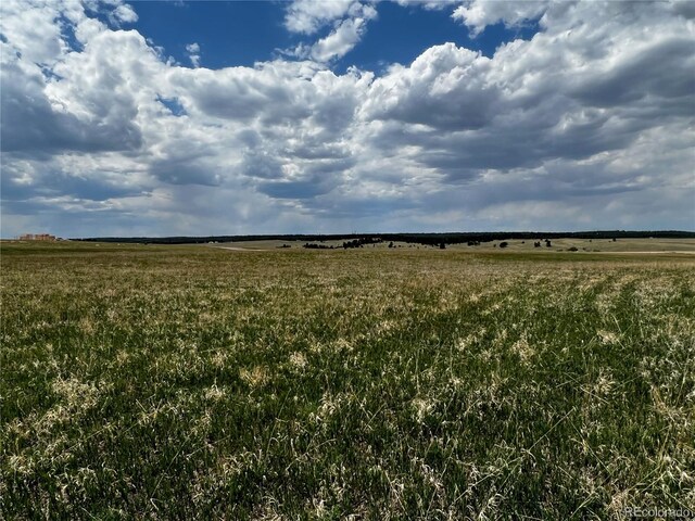 11970 Woodridge Ter, Colorado Springs, CO 80908 - photo 17