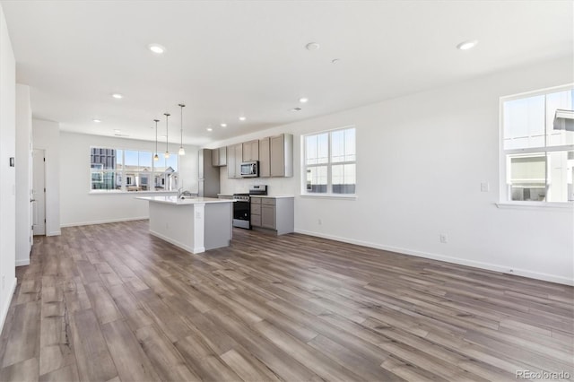 kitchen with open floor plan, appliances with stainless steel finishes, wood finished floors, and a kitchen island with sink