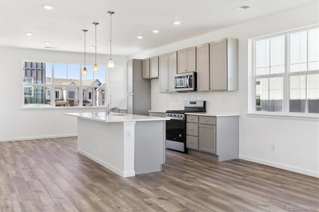 kitchen with appliances with stainless steel finishes, gray cabinets, an island with sink, and wood finished floors