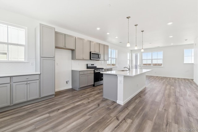 kitchen with light wood finished floors, plenty of natural light, appliances with stainless steel finishes, and gray cabinetry