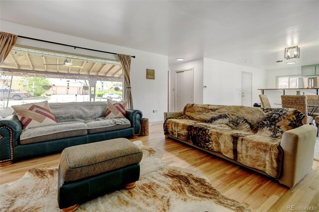 living area featuring wood finished floors