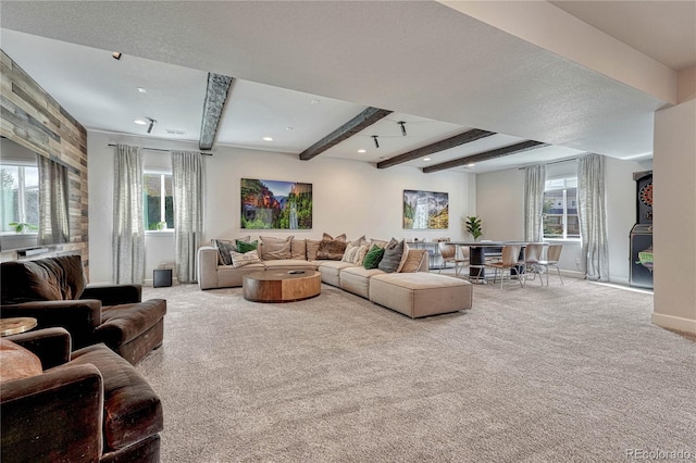 5251 Silver Hare Ct, Castle Rock, CO 80104 - carpeted living area featuring plenty of natural light, recessed lighting, and beam ceiling