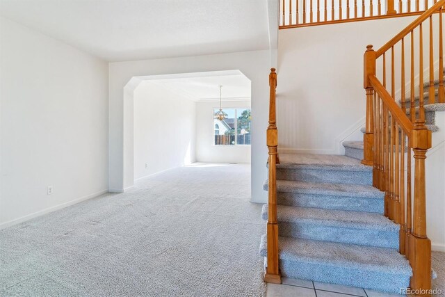 staircase with carpet floors