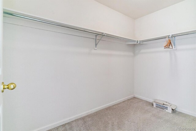 spacious closet featuring carpet