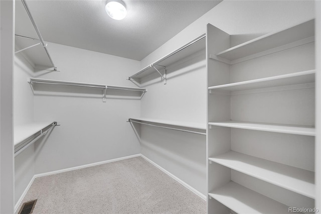 walk in closet featuring carpet flooring