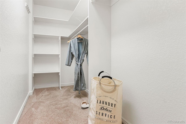4190 W Alameda Ave, Denver, CO 80219 - walk in closet with carpet flooring