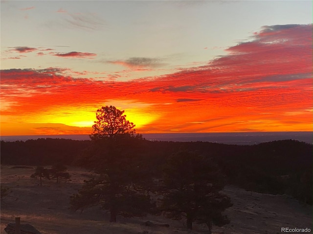 5607 Crawford Gulch Rd, Golden, CO 80403 - mountain view
