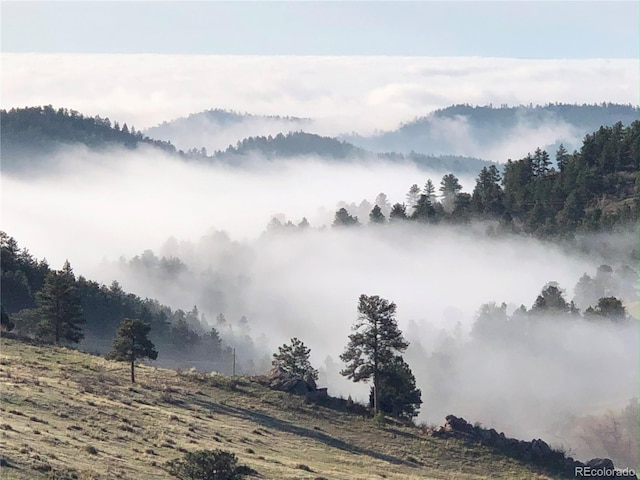 5607 Crawford Gulch Rd, Golden, CO 80403 - view of mountain backdrop with rural landscape and a heavily wooded area