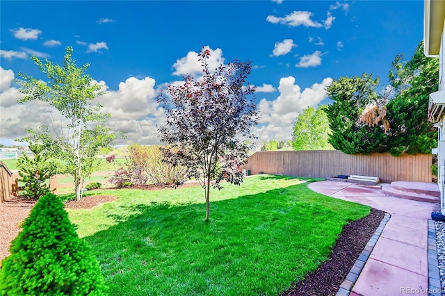 view of yard featuring a patio