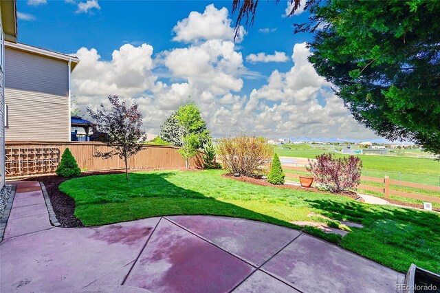 view of yard with a patio