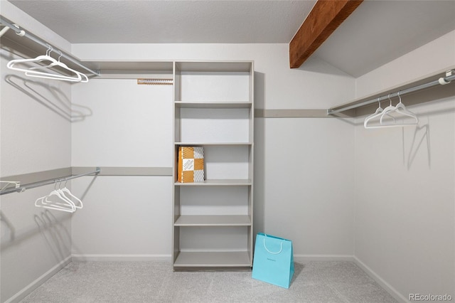10572 E Orchard Pl, Englewood, CO 80111 - spacious closet featuring carpet floors