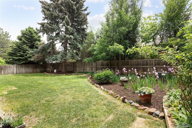 10572 E Orchard Pl, Englewood, CO 80111 - view of yard