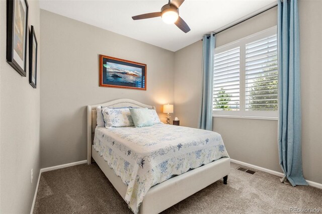 7765 Oasis Dr, Castle Rock, CO 80108 - photo 16