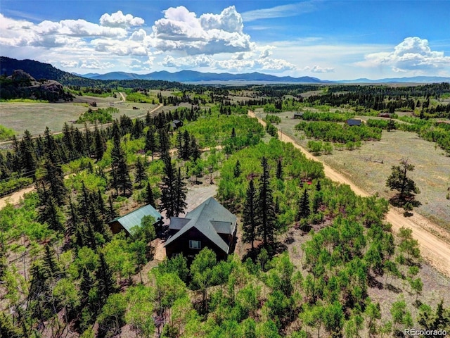 birds eye view of property with a mountain view