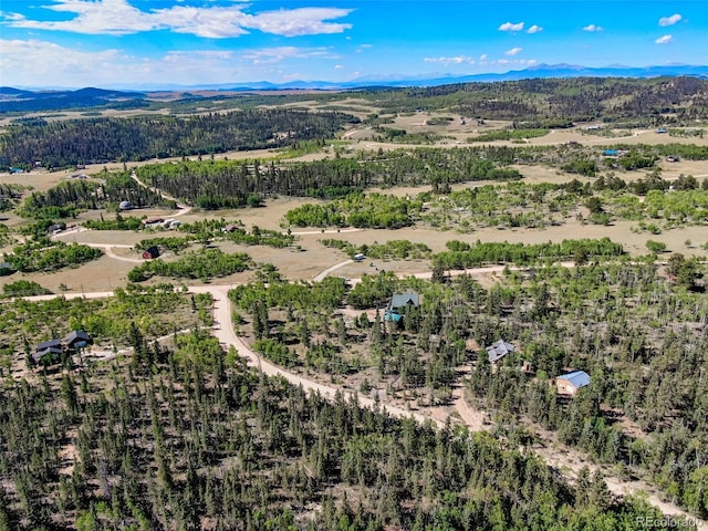 drone / aerial view with a mountain view