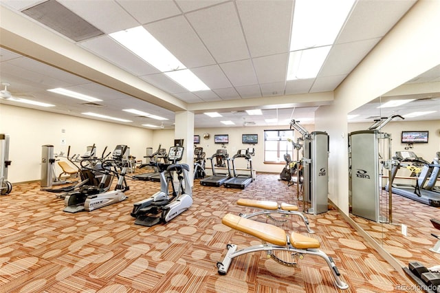 exercise room featuring a drop ceiling and carpet