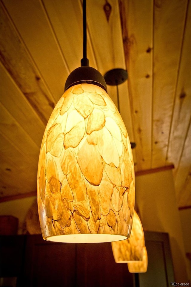3421 Camino Del Rey, Crestone, CO 81131 - detailed view