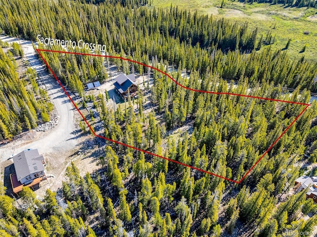 811 Sacramento Xing, Fairplay, CO 80440