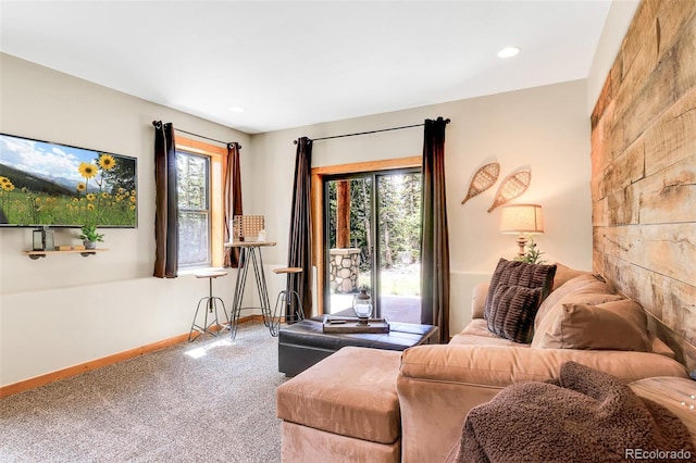 811 Sacramento Xing, Fairplay, CO 80440