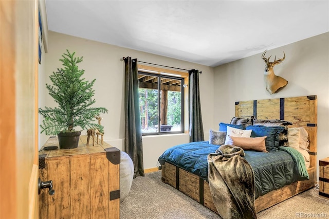 811 Sacramento Xing, Fairplay, CO 80440