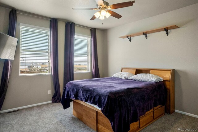 13632 Valentia St, Thornton, CO 80602 - photo 9