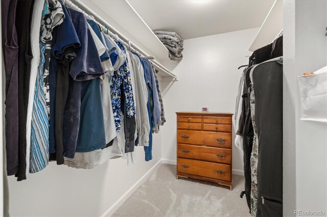 3482 S Eagle St Unit 102, Aurora, CO 80014 - walk in closet featuring carpet