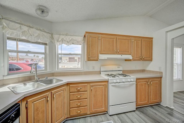 121,127,133,139 Brookdale Avenue, Buena Vista, CO 81211 - photo 21