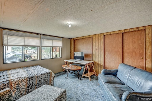 121,127,133,139 Brookdale Avenue, Buena Vista, CO 81211 - photo 41