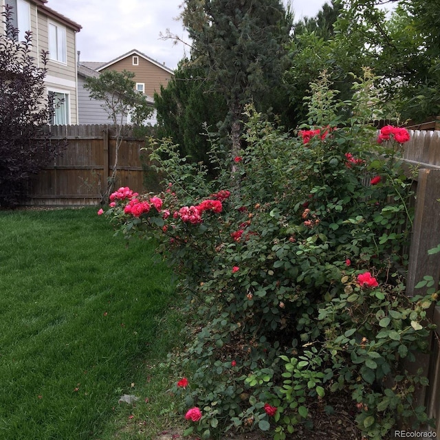 15594 E 97th Ave, Commerce City, CO 80022 - view of yard featuring fence