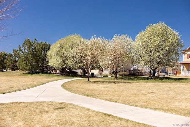 15594 E 97th Ave, Commerce City, CO 80022 - view of community with a lawn