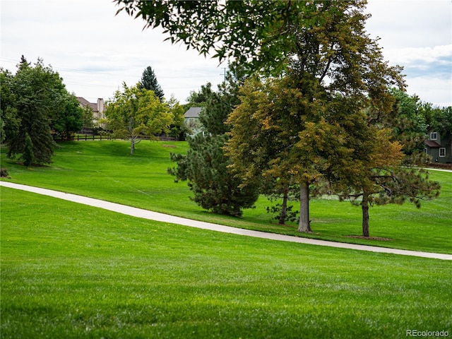 view of community featuring a yard