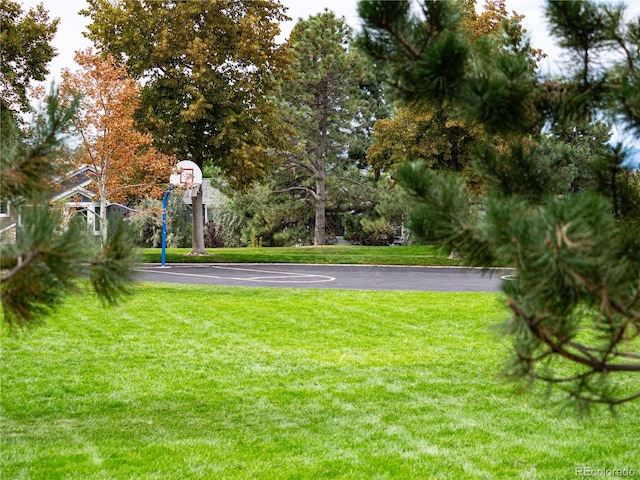 view of yard featuring basketball hoop