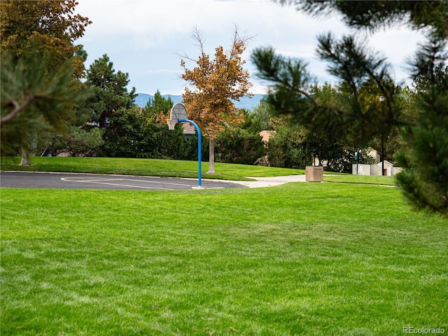 view of property's community featuring a yard and basketball hoop