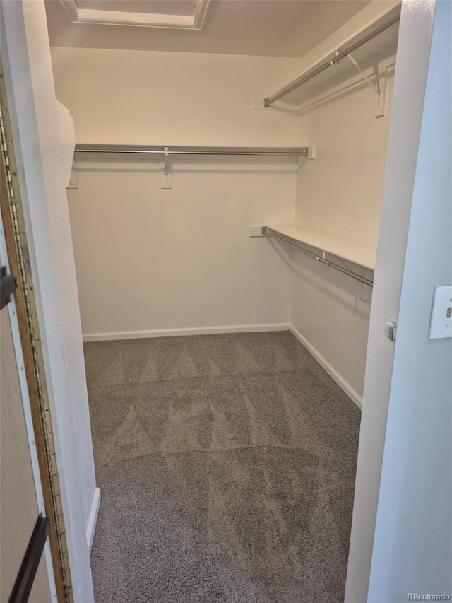 2238 S Nile Ct, Aurora, CO 80014 - spacious closet featuring carpet floors