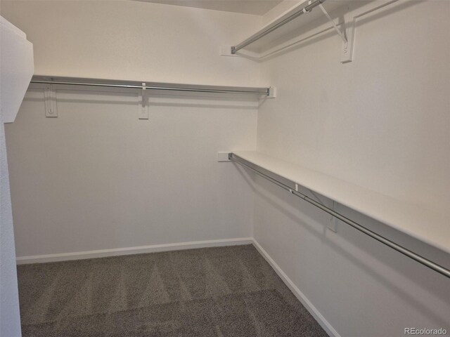 2238 S Nile Ct, Aurora, CO 80014 - walk in closet featuring carpet