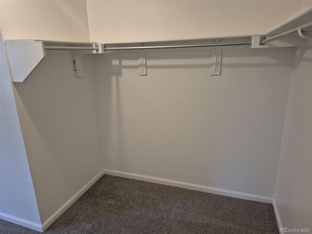 2238 S Nile Ct, Aurora, CO 80014 - walk in closet with carpet