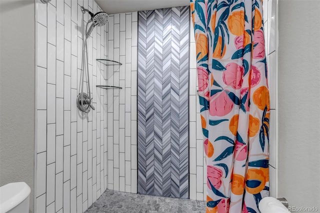 4840 Point Mesa St, Castle Rock, CO 80108 - full bathroom featuring a tile shower, toilet, and a textured wall