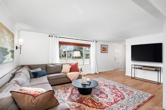 living room featuring ornamental molding and light hardwood / wood-style flooring