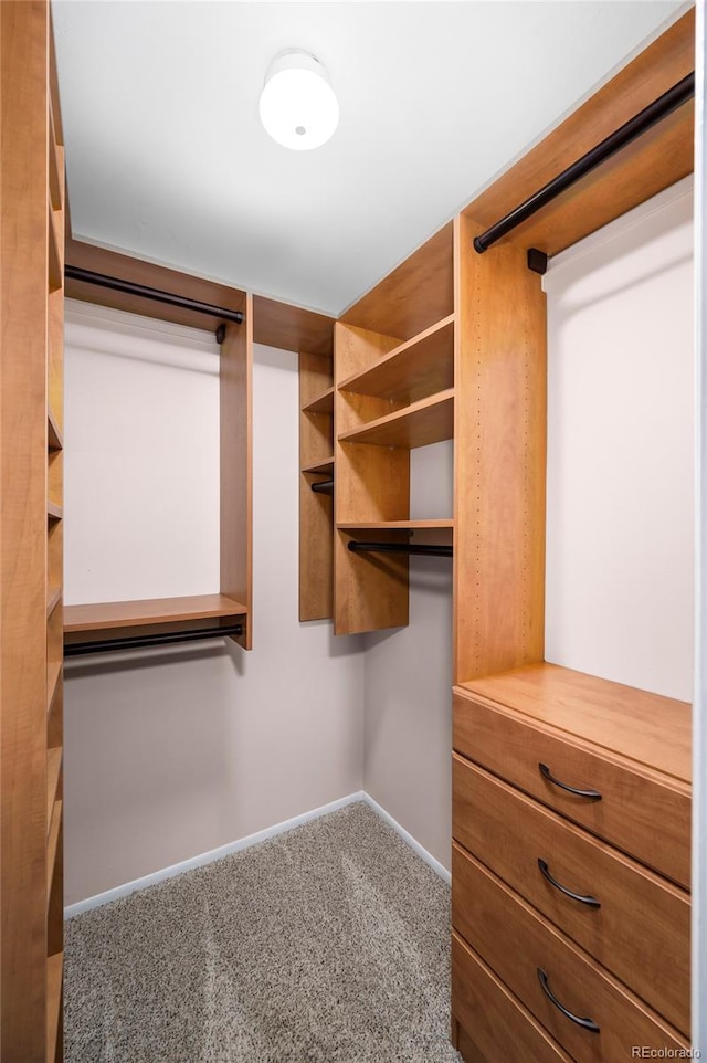 spacious closet with carpet floors