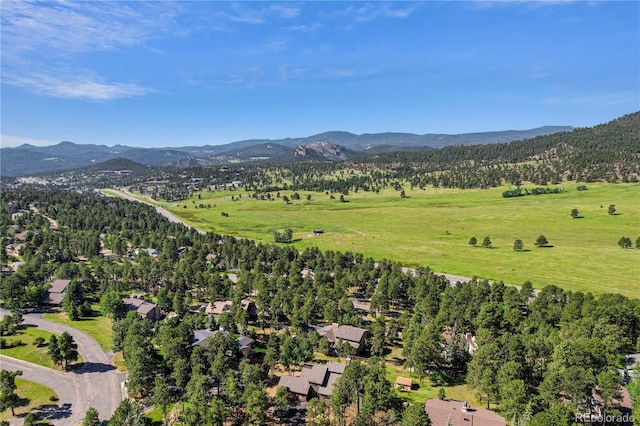 2289 Hiwan Dr, Evergreen, CO 80439 - drone / aerial view of mountains