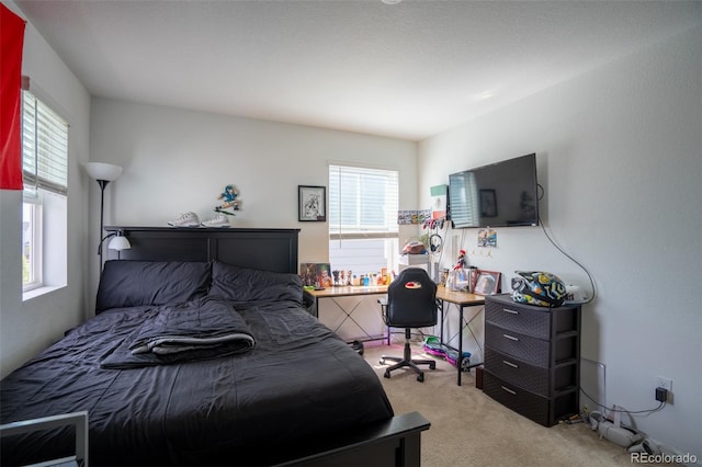 26985 E Bayaud Ave, Aurora, CO 80018 - view of carpeted bedroom