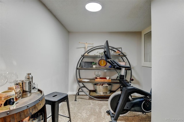 workout area with baseboards, carpet, and a textured ceiling