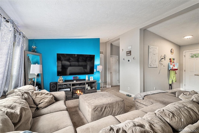 1390 W 78th Cir, Denver, CO 80221 - carpeted living room with a textured ceiling and a lit fireplace