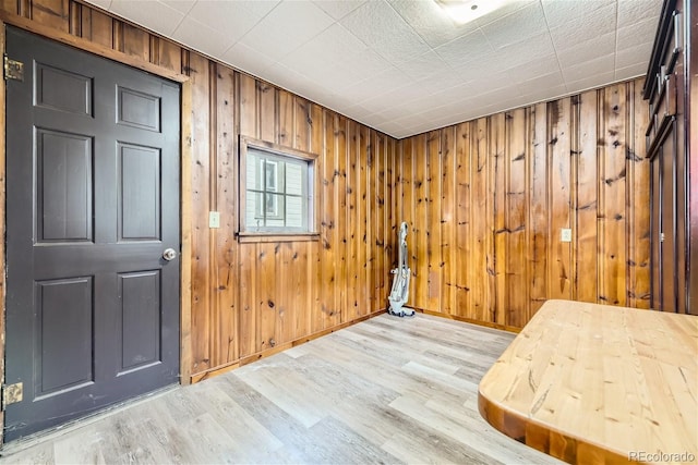 foyer entrance featuring wood walls and light wood-type flooring