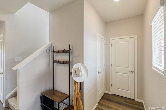 7232 Shavano Ave, Frederick, CO 80504 - hall featuring dark wood finished floors, baseboards, and stairway