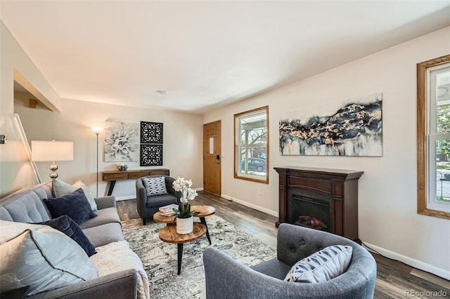 living area with wood finished floors, baseboards, and a fireplace