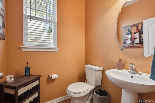 bathroom with toilet and sink