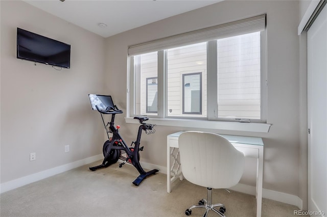 office space with light colored carpet