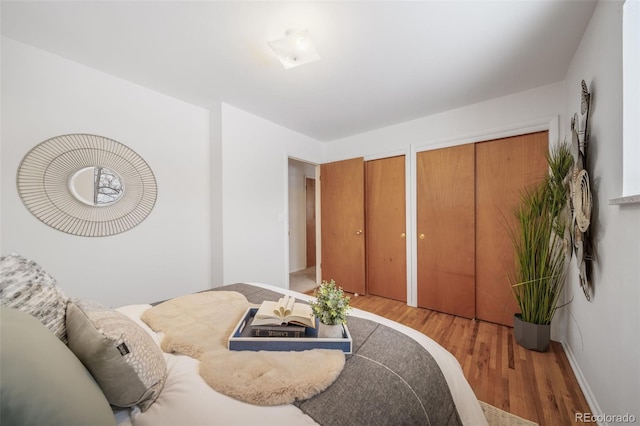 bedroom with wood-type flooring and two closets