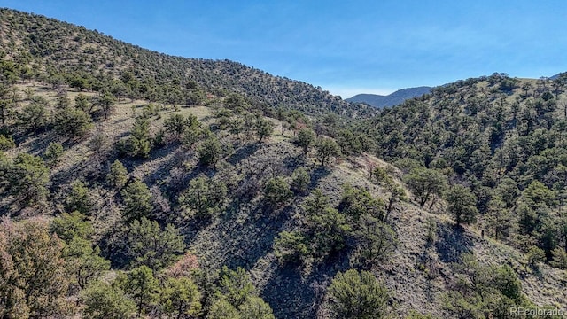 10405 W Cherokee Dr, Salida, CO 81201 - mountain view featuring a forest